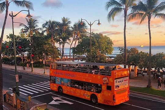 Waikiki Trolley Hop-On Hop-Off Tour of Honolulu — photograph 5