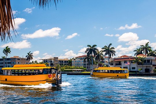 All Day Venice HopOn HopOff Water Taxi Tour — photograph 2
