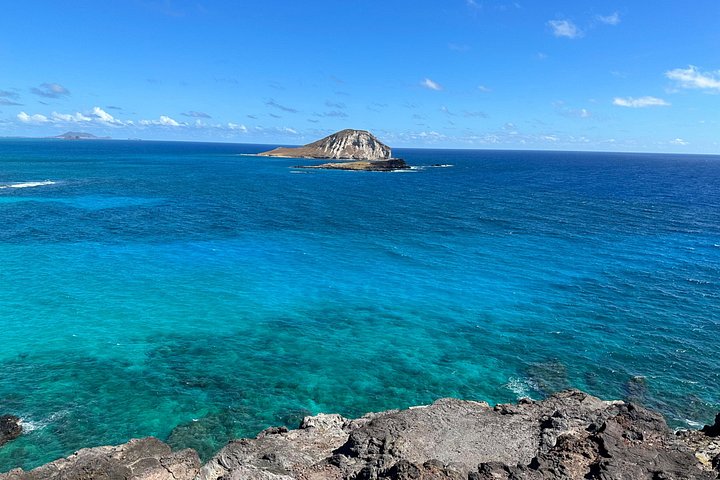 Oahu Island Experience feat the North Shore (Small Group Tour)