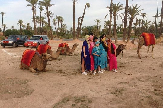 Camel Ride in Marrakech Including Moroccan Tea — photo 3