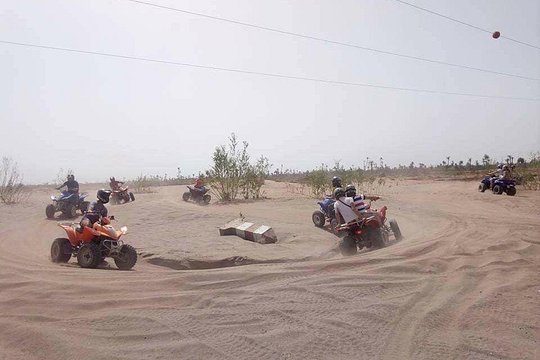 Quad Biking In Marrakech Palm Grove — photograph 2