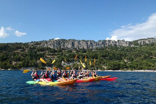 Half-Day Split Sea Kayak Adventure — photograph 4
