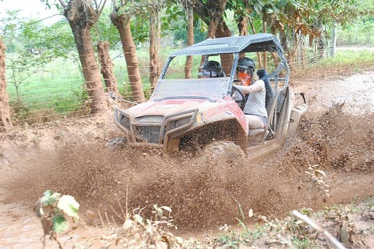 Platinum Buggy Adventure — billede 2