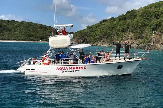 Two-Tank Dive for Certified Diving in St Thomas — photograph 2