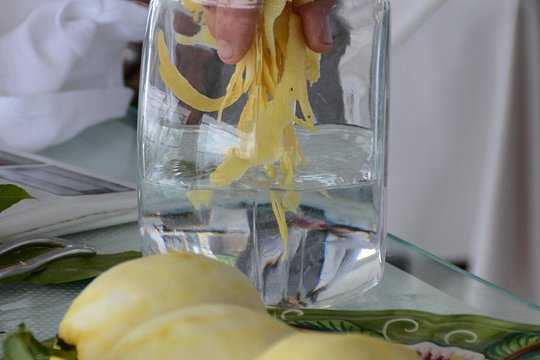 Limoncello Making and lunch with lemon base — photograph 5