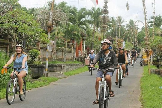 Bali Cycling Tour — Foto 2