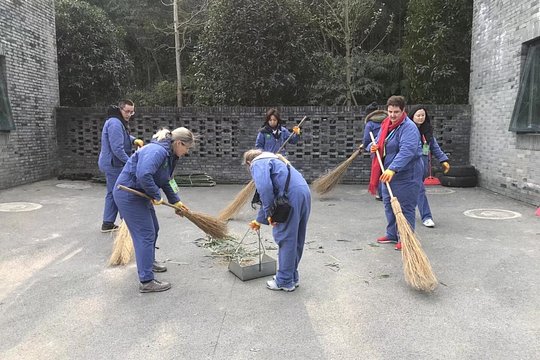 Dujiangyan Panda Base Volunteer Tour — photograph 2