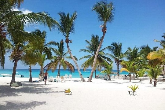 Saona Platinum Beach Day — photograph 4