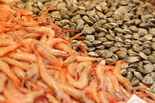 Malaga Tapas Kochkurs — Foto 4