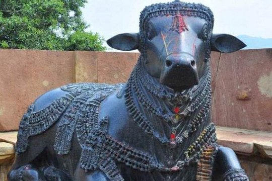 Day Excursion to the unique Ramappa Temple from Hyderabad with Lunch — billede 2