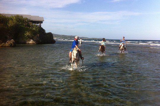 Roatan Excursion: Horseback Ride / Plus Sloth Park and Glass Bottom Boat — photograph 2