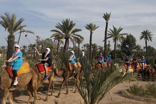 Authentic 1-Hour Camel Ride Adventure — photograph 2