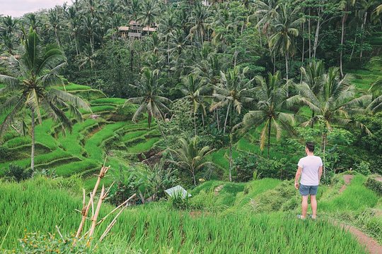 Ubud Experience — foto 2
