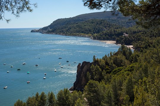 Arrabida Full Day Private Tour with Wine Tasting — foto 3