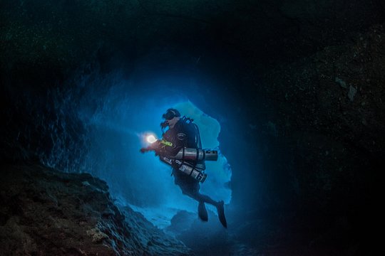Night Dive — photograph 2