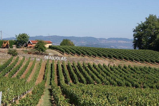 Beaujolais & Perouges Medieval Town (9:00 am to 5:15 pm - Small Group Tour Lyon — 사진 4