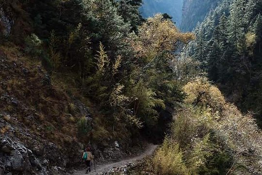 19 Days Narphu Valley Trekking — bild 4