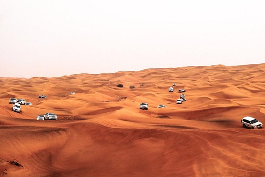 Desert Safari Dubai — photograph 4