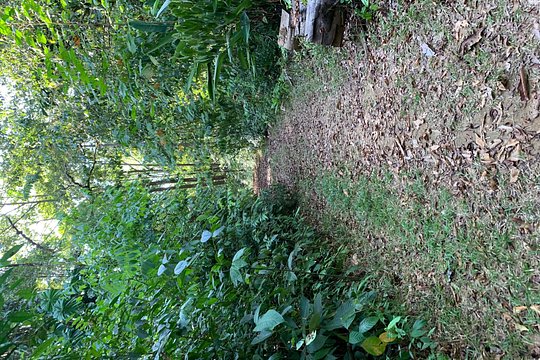 paraiso verde over night — photograph 2