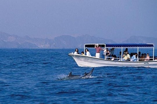 Watching Dolphins, Muscat — photograph 2
