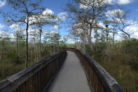 Western Everglades Adventure Tour — photograph 5