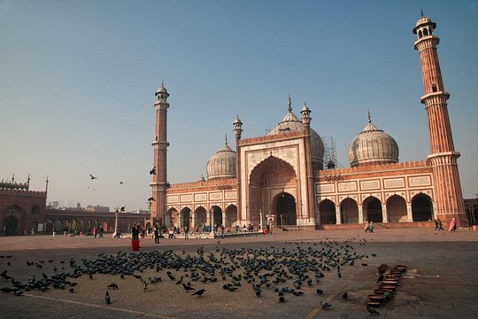 Delhi Full Day Sightseeing Tour — photograph 4