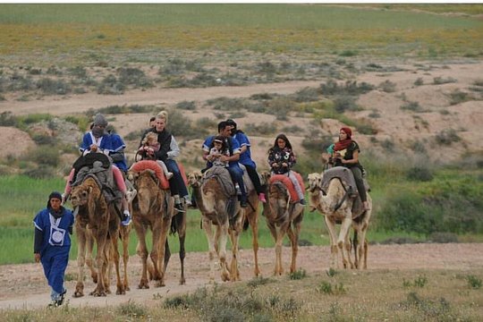 Camel riding in marrakech — foto 3