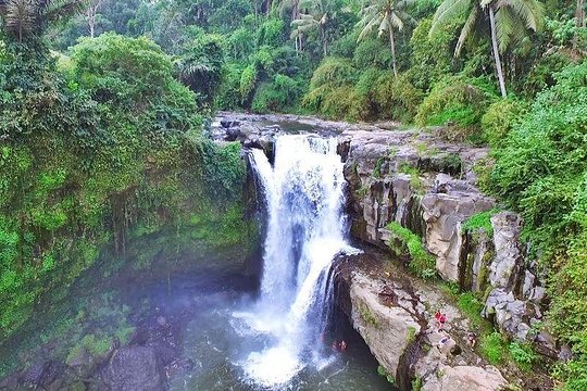 Private Ubud and Volcano Day Trip — foto 2