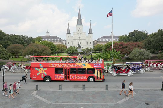 New Orleans City Sightseeing Hop-On Hop-Off Bus Tour — photograph 2