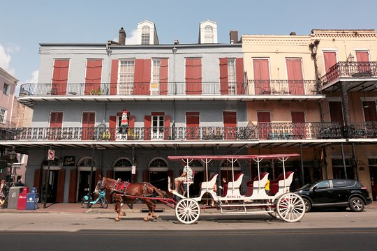 New Orleans City Sightseeing Hop-On Hop-Off Bus Tour — photograph 4