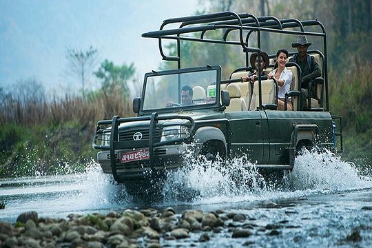 Chitwan Jeep Safari — photograph 3