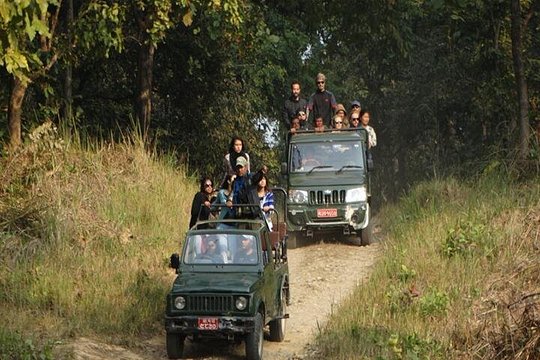 Chitwan Jeep Safari — photograph 2