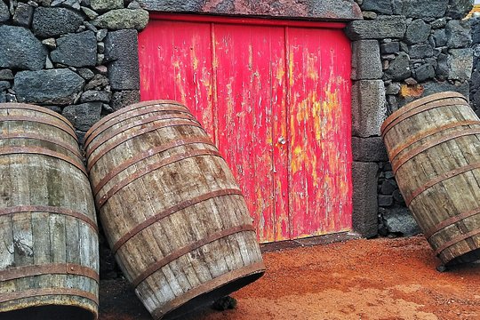 Wine Tour — photograph 3