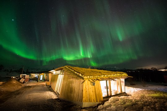 Northern Lights Husky Visit — photograph 4
