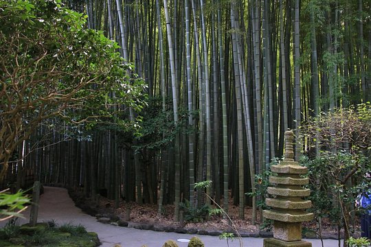 8-hour Kamakura tour by qualified guide using public transportation — Foto 2