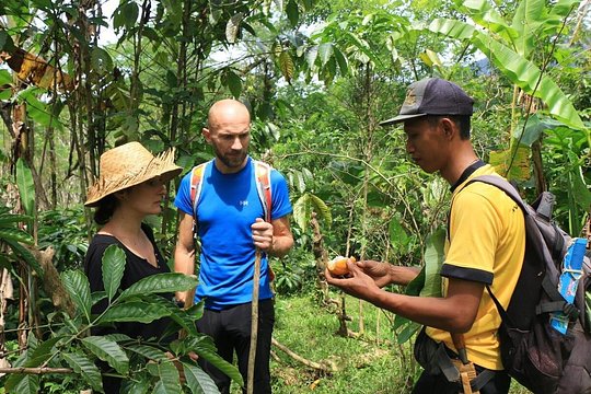 Authentic hike in the forest with lunch at the inhabitant — foto 3