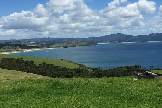 Tāwharanui- Get away from it all and experience New Zealand at its best - private tour — photograph 2