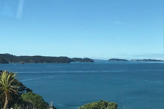 Tāwharanui- Get away from it all and experience New Zealand at its best - private tour — photograph 5