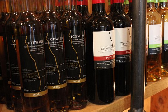 Between the Lines Grape to Glass Wine Experience — photograph 4
