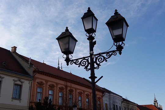 Private tour in Vác by local guide - Magical vibe of an charming baroque town — foto 4