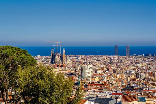 Visite privée guidée de Park Guell — photo 3