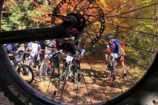 guided e-bike rental tours — foto 5