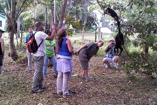 Rumble in the Jungle: The Howler Monkey Expedition — photograph 2