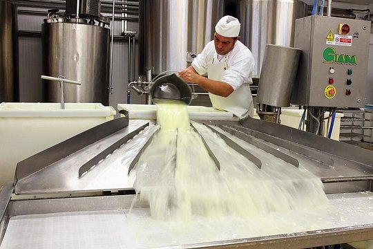 Visit to the dairy — billede 4