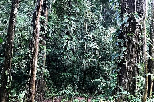 Hunter Trails, 3 days difficult trekking with Camping & Homestay — photograph 4