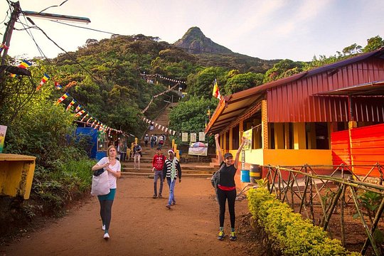 Visit Adam's Peak from Colombo — foto 5