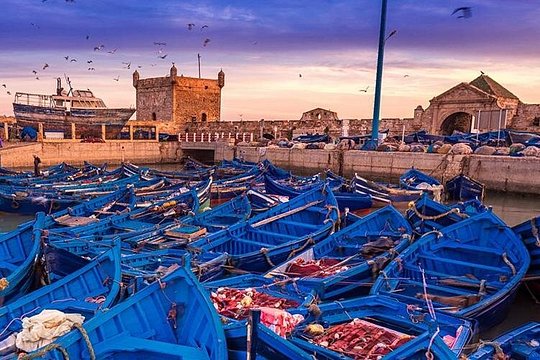 Essaouira Day Trip From Marrakech — photograph 2