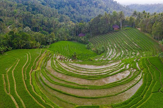 Bali Drone Photography Tour — photograph 2