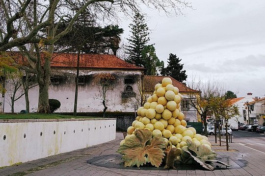 Arrábida tour with wine tasting — photograph 4