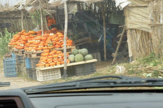 Oualidia Day Trip From Marrakech — Foto 3
